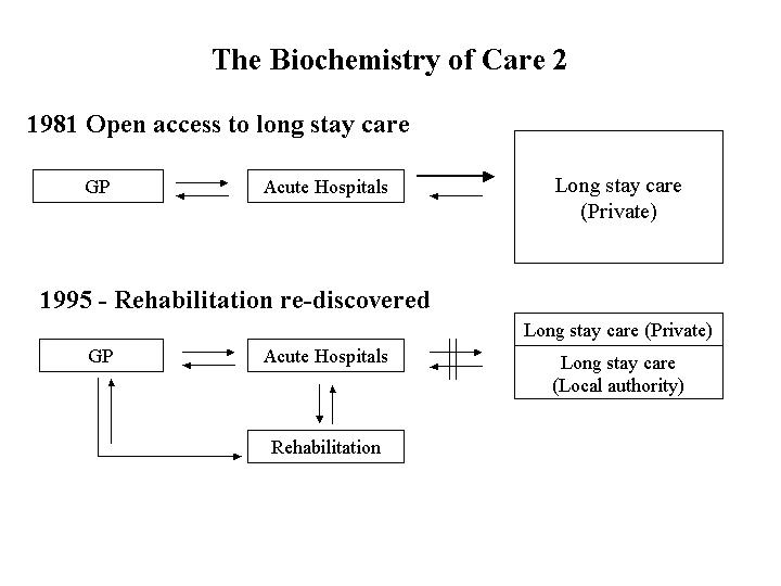 biochem flow 2