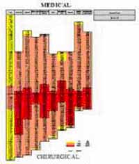 case view chart